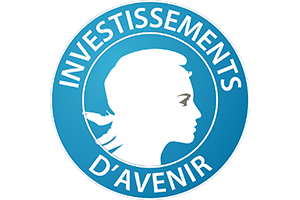 investissements davenir